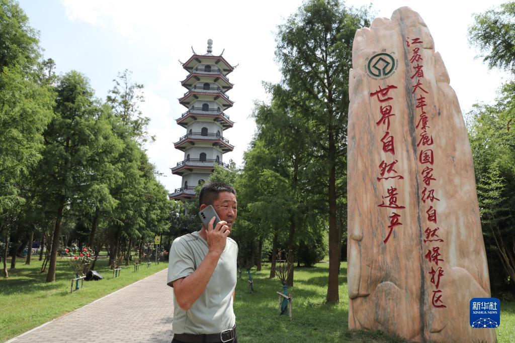 奔驰在线娱ben